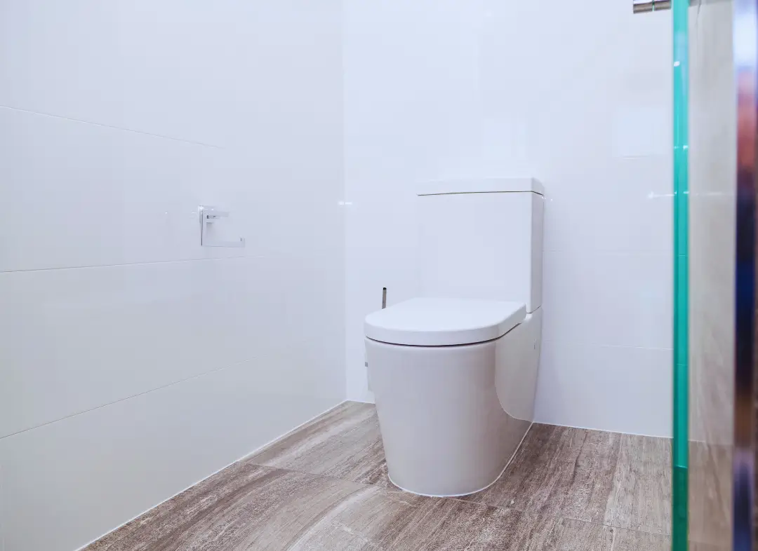 Remplacement de wc Descartes